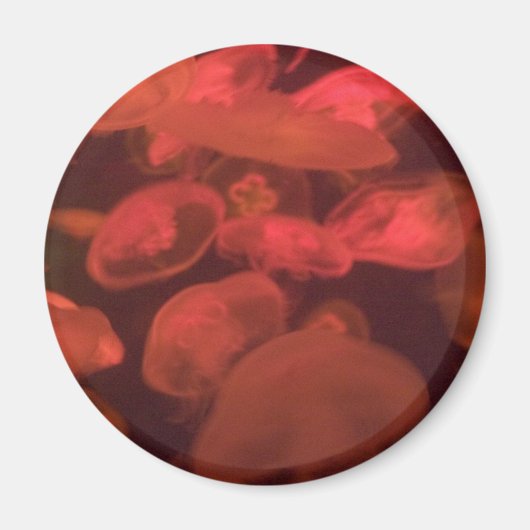 kwal magneet (Voorkant)