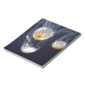 kwal notitieblok (Gedraaid)