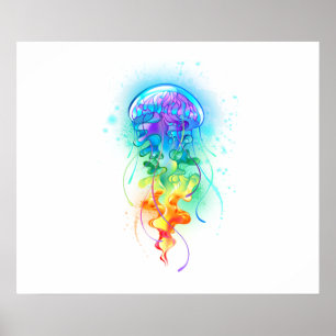 Kwal regenboog poster