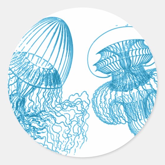 kwal ronde sticker (Voorkant)