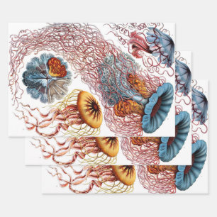 Kwal uit de Vintage collectie van Ernst Haeckel, D Inpakpapier Vel