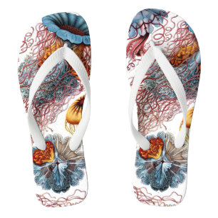 Kwal uit de Vintage serie van Ernst Haeckel, Disco Teenslippers