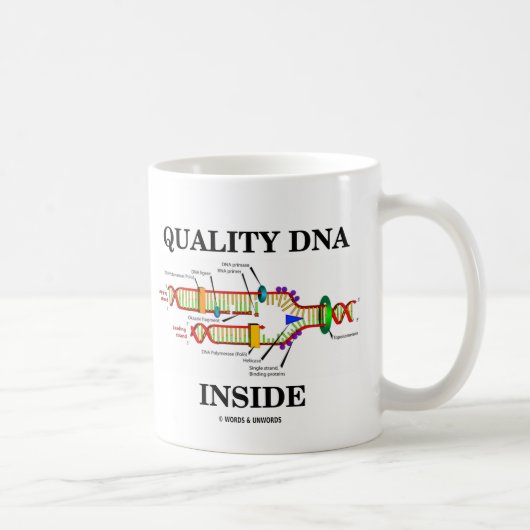 Kwaliteit DNA Inside (DNA-replicatie) Koffiemok (Rechts)