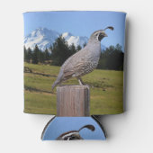 KWALITEIT OP DREAMPUNT BLIKJESKOELER (Voorkant)