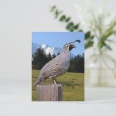 KWALITEIT OP DREAMPUNT BRIEFKAART (Staand voorkant)