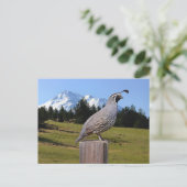 KWALITEIT OP DREAMPUNT BRIEFKAART (Staand voorkant)