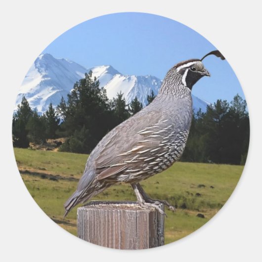 KWALITEIT OP DREAMPUNT RONDE STICKER (Voorkant)