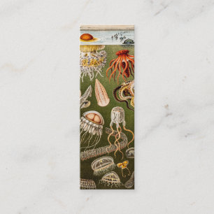 kwallen Antiek Jelly Fish Illustration Mini Visitekaartje