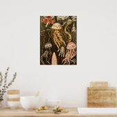  kwallen Antiek Jelly Fish Illustration Poster (Keuken)