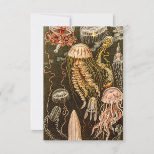  kwallen Antiek Jelly Fish Illustration RSVP Kaartje