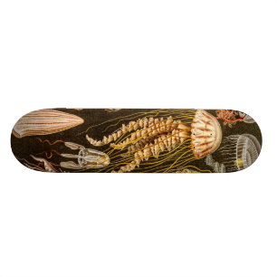  kwallen Antiek Jelly Fish Illustration Skateboard