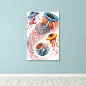  kwallen door Ernst Haeckel, Discomedusae Canvas Afdruk (Insitu (Houten vloer))
