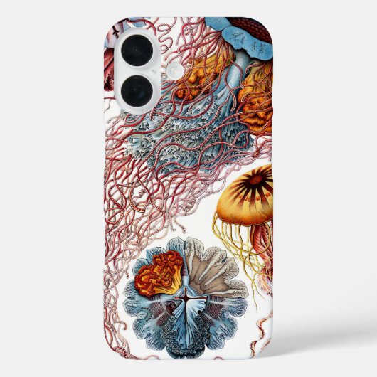  kwallen door Ernst Haeckel, Discomedusae Case-Mate iPhone Case (Achterkant)