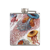 kwallen door Ernst Haeckel, Discomedusae Heupfles (Achterkant)