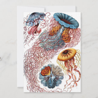  kwallen door Ernst Haeckel, Discomedusae Kaart