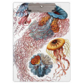  kwallen door Ernst Haeckel, Discomedusae Klembord (Voorkant)