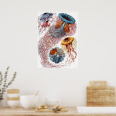 kwallen door Ernst Haeckel, Discomedusae Poster (Keuken)