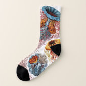 kwallen door Ernst Haeckel, Discomedusae Sokken (Links - buitenkant)