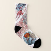 kwallen door Ernst Haeckel, Discomedusae Sokken (Rechts - buiten)