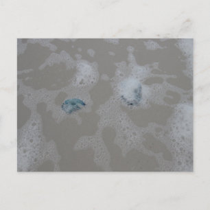 Kwallen in brandingfotografie op het oceaanstrand briefkaart