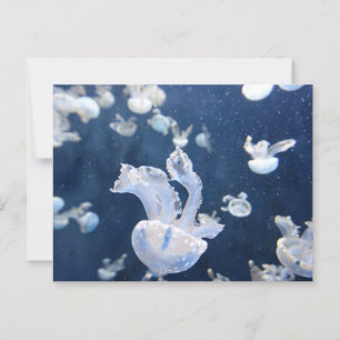 kwallen in de oceaan briefkaart