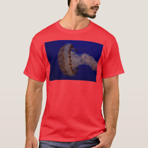 kwallen in Monterey Bay Aquarium 1 T-shirt