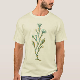 kwallen - Obelia geniculata T-shirt