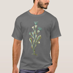 kwallen - Obelia geniculata T-shirt