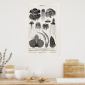  kwallen Retro Zee Jelly Fish Poster (Keuken)