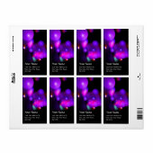 KWANTUM BUBBLES ETIKET (Full Sheet)