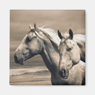 kwart paard op Canadian Prairie Magneet