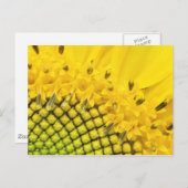 kwart zon briefkaart (Voorkant / Achterkant)