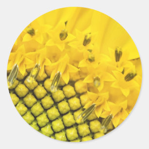 kwart zon ronde sticker