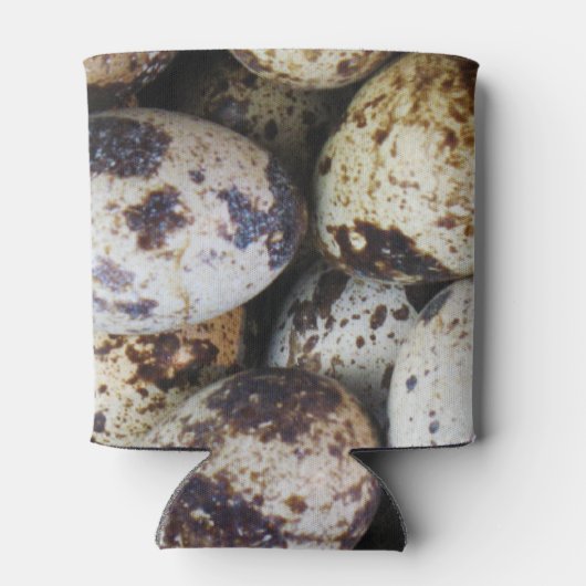 Kwartaaleieren Blikjeskoeler (Achterkant)