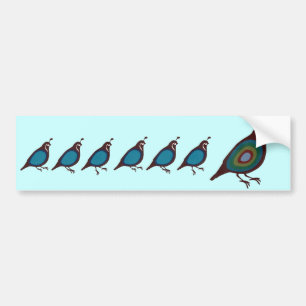 Kwartel Bumpersticker