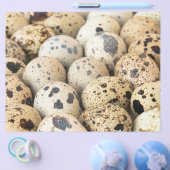 Kwartel Eieren Flyer (Enkel)