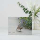 kwartier briefkaart (Staand voorkant)