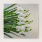 Kwassige Witte Sneeuwklokje Bloemen Lente Bloei Legpuzzel (Horizontaal)