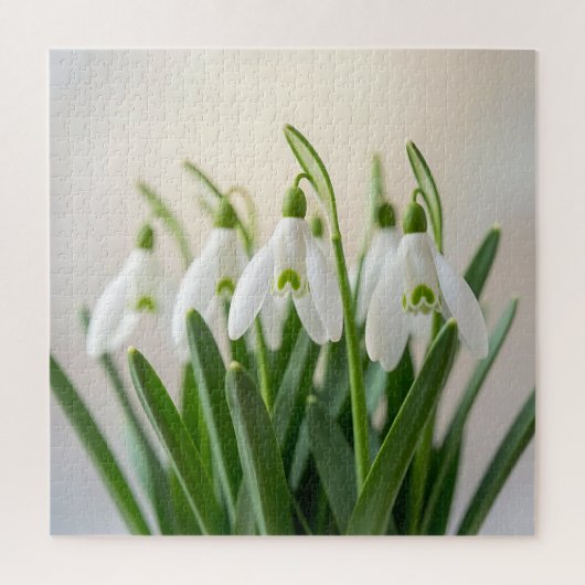 Kwassige Witte Sneeuwklokje Bloemen Lente Bloei Legpuzzel (Verticaal)