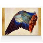 KWEEFSELS VAN EEN EUROPESE ROLLER (Binnen Horizontaal (Boven))