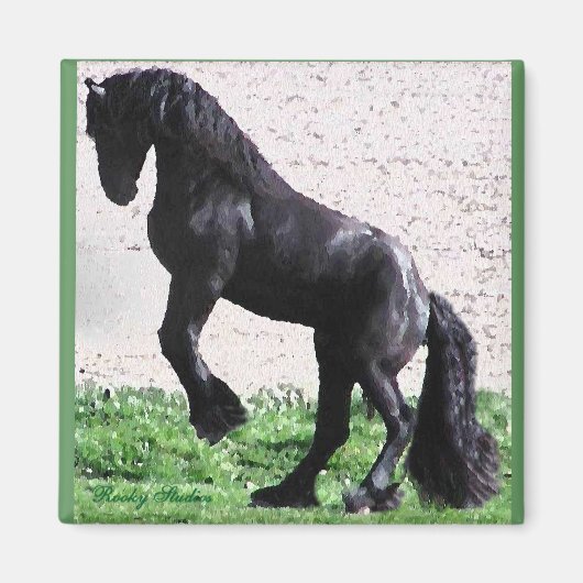 Kweek Friese magneet (Voorkant)