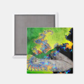 KWESTIES MAGNEET (Voorkant / Achterkant)