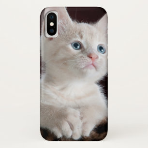 Kwetsbare Witte Keuten iPhone X Hoesje