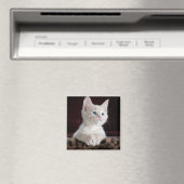 Kwetsbare Witte Keuten Magneet (Insitu (Vaatwasser))