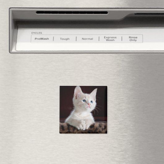 Kwetsbare Witte Keuten Magneet (Insitu (Vaatwasser))