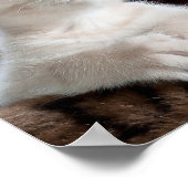 Kwetsbare Witte Keuten Poster (Hoek)