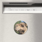 kwijlende kamelenmagneet magneet (Insitu (Vaatwasser))