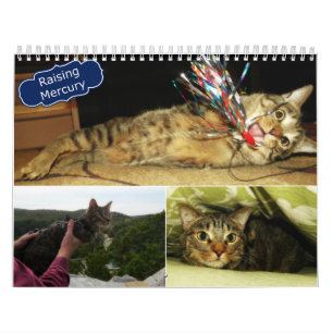 Kwikkalender 2016 kalender