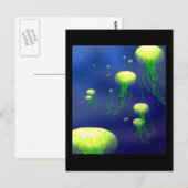 KY zetten Briefkaart op gelei (Voorkant / Achterkant)