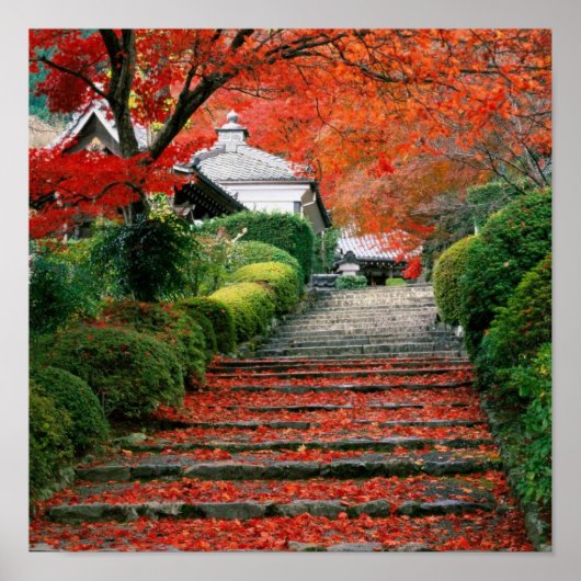 Kyoto, herfst Leaves Poster (Voorkant)